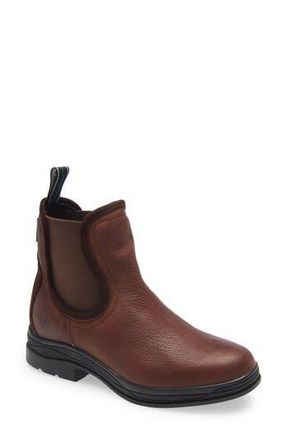 Ariat Keswick Waterproof Chelsea Boot in Brown at Nordstrom Rack, Size 5.5