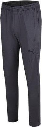 Puma Body Fit Daily Logo Pants Grey 933091-03