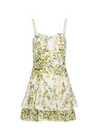 Alice & Olivia Meredith Floral-embroidered Cotton Mini Dress - Multicoloured - 12 (UK16 / XL)
