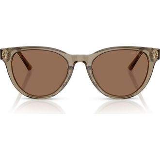 Jimmy Choo London Trace 53mm Phantos Sunglasses in Transparent Brown /Dark Brown at Nordstrom