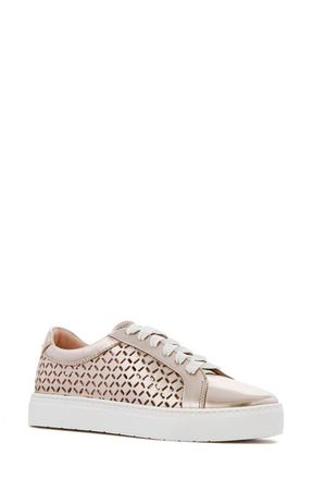 FRANKiE4 Mim V Sneaker in Champagne Lattice at Nordstrom, Size 6.5
