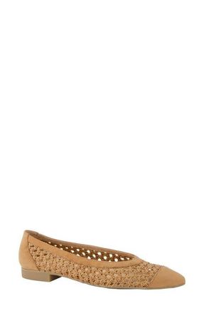 Paul Green Daisy Pointed Toe Flat in Sisal Diva Combo at Nordstrom, Size 9.5Us
