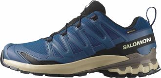 Salomon XA PRO 3D V9 GTX Blue 478172