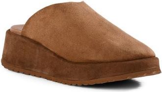 Seychelles Come Away With Me Platform Clog in Brown at Nordstrom, Size 7.5