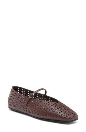 Jeffrey Campbell Khloe Perforated Square Toe Flat in Brown at Nordstrom Rack, Size 7