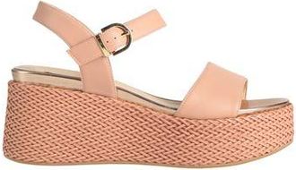 Luciano Barachini ELITE