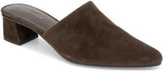 Splendid Lorelei Mule in Spice at Nordstrom, Size 11