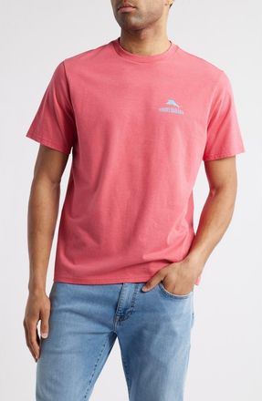 Tommy Bahama Can You Sear Me Now Cotton Graphic T-Shirt in Clarete Heather at Nordstrom, Size Small