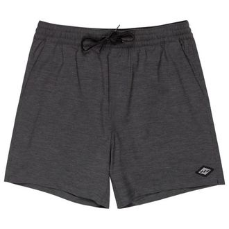 Billabong Every Other Day LB Boardshorts f&uuml;r Herren | grau