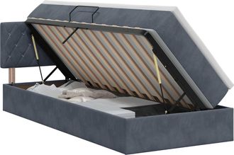 vidaXL Cama Con Almacenamiento Gris Oscuro 100 X 200 Cm Terciopelo Vidaxl