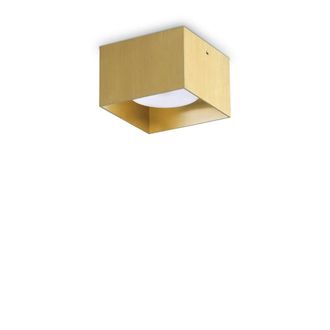 Netlighting Spike Square Surface Mounted Downlight Brass in Gold