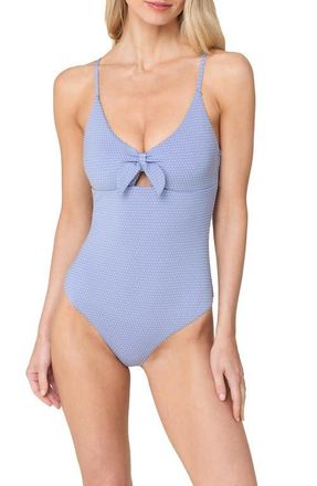 Andie Swim Tenerife One-Piece Swimsuit in Wisteria at Nordstrom, Size X-Large