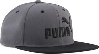 Puma Cappellino a tesa piatta con logo Essentials N.1, Accessori, Grigio, OSFA