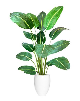 Creative Displays Inc. 6Ft Uv-Rated Travelers Palm Tree With Fiberstone Planter