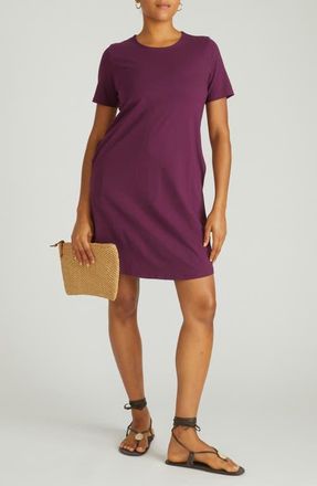 Universal Standard Halie T-Shirt Dress in Gamay Burgundy at Nordstrom, Size 2Xl