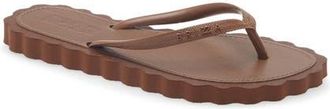 Arezzo Brizza Cookie Cutter Flip Flop in Brown at Nordstrom, Size X-Large