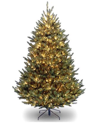 National Tree Company 7.5Ft Natural Fraser Medium Fir Hedge Tree With 1000 Lights