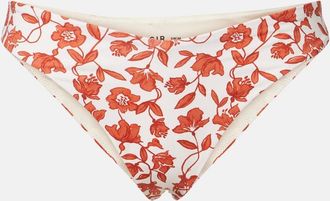 Sir. Slip bikini Chloe con stampa floreale