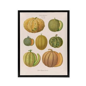 Artery8 Melons Fruit Vintage Kitchen Ernst Benary Framed Canvas Wall Art Print in White | Size: W24 x H32