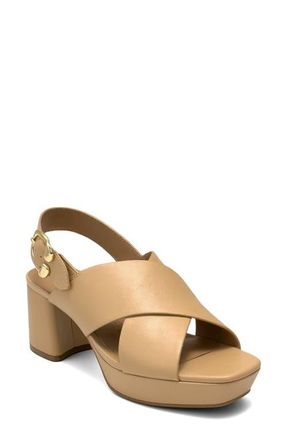 Aerosoles Pura Platform Sandal in Beige Bisque Nappa at Nordstrom, Size 9.5