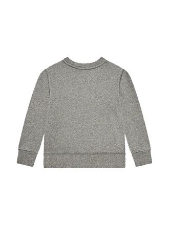 Polo Ralph Lauren Crewneck Cotton Sweatshirt - Gray