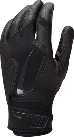 Nike Alpha 2.0 Baseball Batting Gloves in Black | N1013005-086