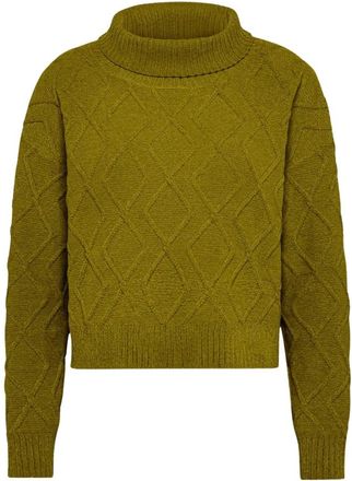 Roberto Ricci Design Rrd, Dames, Truien, Geel, Maat: M Velours