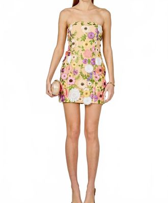 endless rose Floral Embroidered Mini Dress In Multi Color