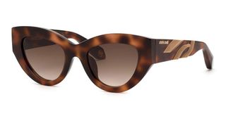 Roberto Cavalli SRC009M 02BV Mens Sunglasses Tortoiseshell Size 51