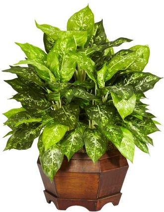 Nearly Natural Variegated Dieffenbachia with Large Hexagon Artificial Plant in Green at Nordstrom