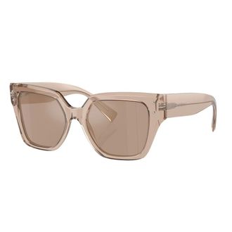 Dolce & Gabbana Dames, Accessoires, Bruin, Maat: 52 MM