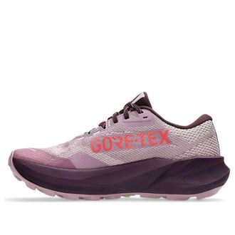 Asics (WMNS) ASICS Trabuco 14 GTX Taro Purple Dark Aubergine 1012B936-500