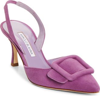Manolo Blahnik Maysli Buckle Slingback Pump in Purple at Nordstrom, Size 37.5
