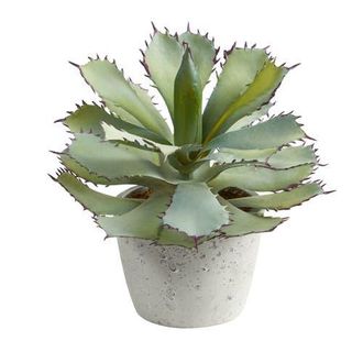 Nearly Natural 11-in Succulent Artificial Plant in Green at Nordstrom