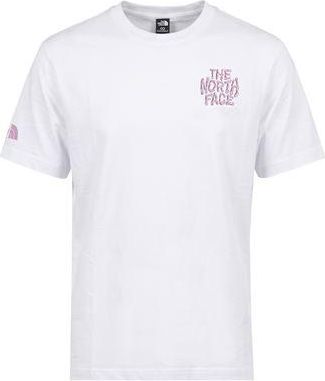 The North Face M DRIP LOGO RELAXED SHORT SLEEVE TEE-GRA