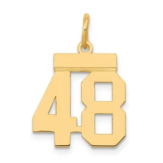 Diamond2Deal 14k Yellow Gold Small Polished Number Charm Pendant