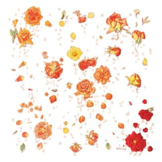 Herm&egrave;s Pre-owned Scarves, female, Multicolor, Size: ONE SIZE Pre-owned Rose Motif Scarf
