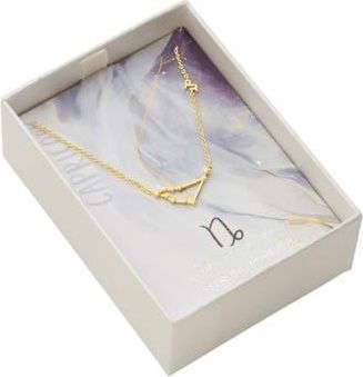 Sterling Forever 14K Gold Plated Station Constellation Pendant Necklace in Gold - Capricorn at Nordstrom Rack