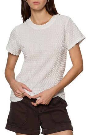 Sanctuary Perfect Puckered Lace T-Shirt in White at Nordstrom, Size X-Small P