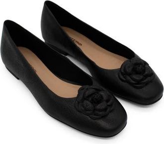 Bottero Botsamya Ballet Flat in Preto at Nordstrom, Size 11