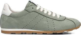 Stefano Lauran Schoenen, Dames, Groen, 38 EU, Leer, Groene lage sneakers voor dames