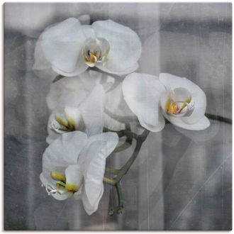 Artland Leinwandbild »Weisse Orchideen - white Orchid« 1 Stk. tlg. als Leinwandbild, Wandaufkleber in verschied. Grössen
