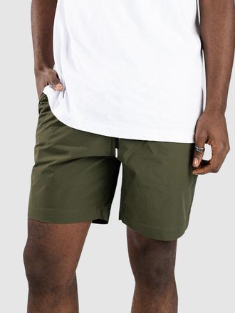Volcom Hoxstop Ew 18 Shorts gr&uuml;n