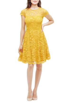Kensie Lace Fit And Flare Dress In Golden