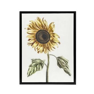 Artery8 Sunflower Vintage Flower Painting Teyler Black Framed Canvas Wall Art in White | Size: W24 x H32
