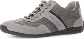 Gabor Sneaker PIUS GABOR, Herren, Gr. 11,5 (46,5), grau (grau, grau), Lederimitat, Veloursleder, Schuhe Sneaker, Freizeitschuh, Halbschuh, Schn&uuml;rschuh mit L