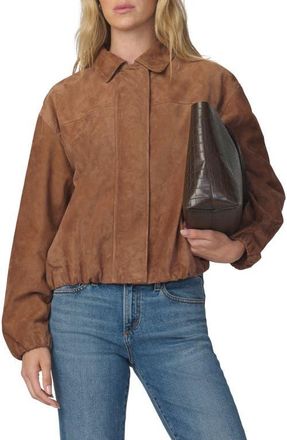 Joe's Bella Suede Bomber Jacket in Nutmeg at Nordstrom, Size X-Small