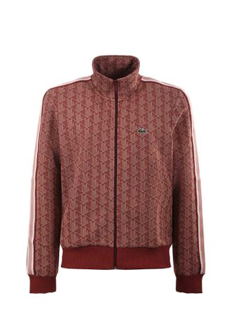 Lacoste: Brown Clothing now up to −55% | Stylight