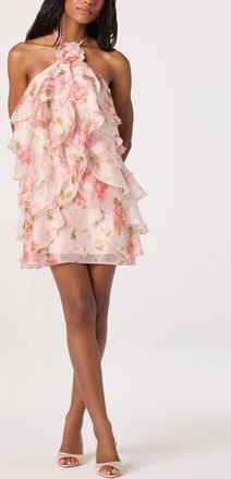 ASTR the Label Ofra Floral Halter Neck Minidress in Blush Floral at Nordstrom, Size X-Small