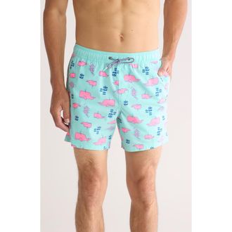 Party Pants Moby Swim Trunks in Mint Green at Nordstrom Rack, Size Xx-Large